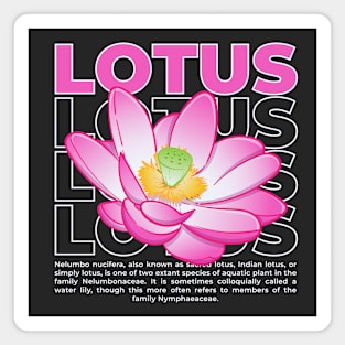 Lotus flower vector with typography Magnet